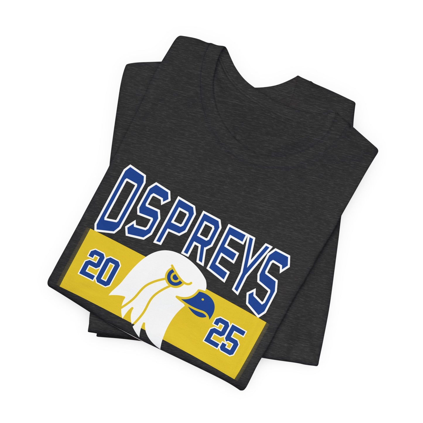 HES Ospreys 2025 Dark Grey Tee Shirt, Adult